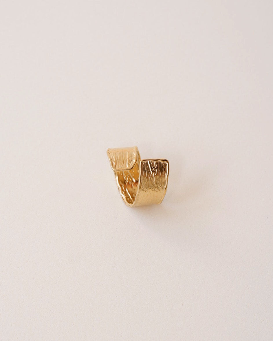 Anillo Irregular
