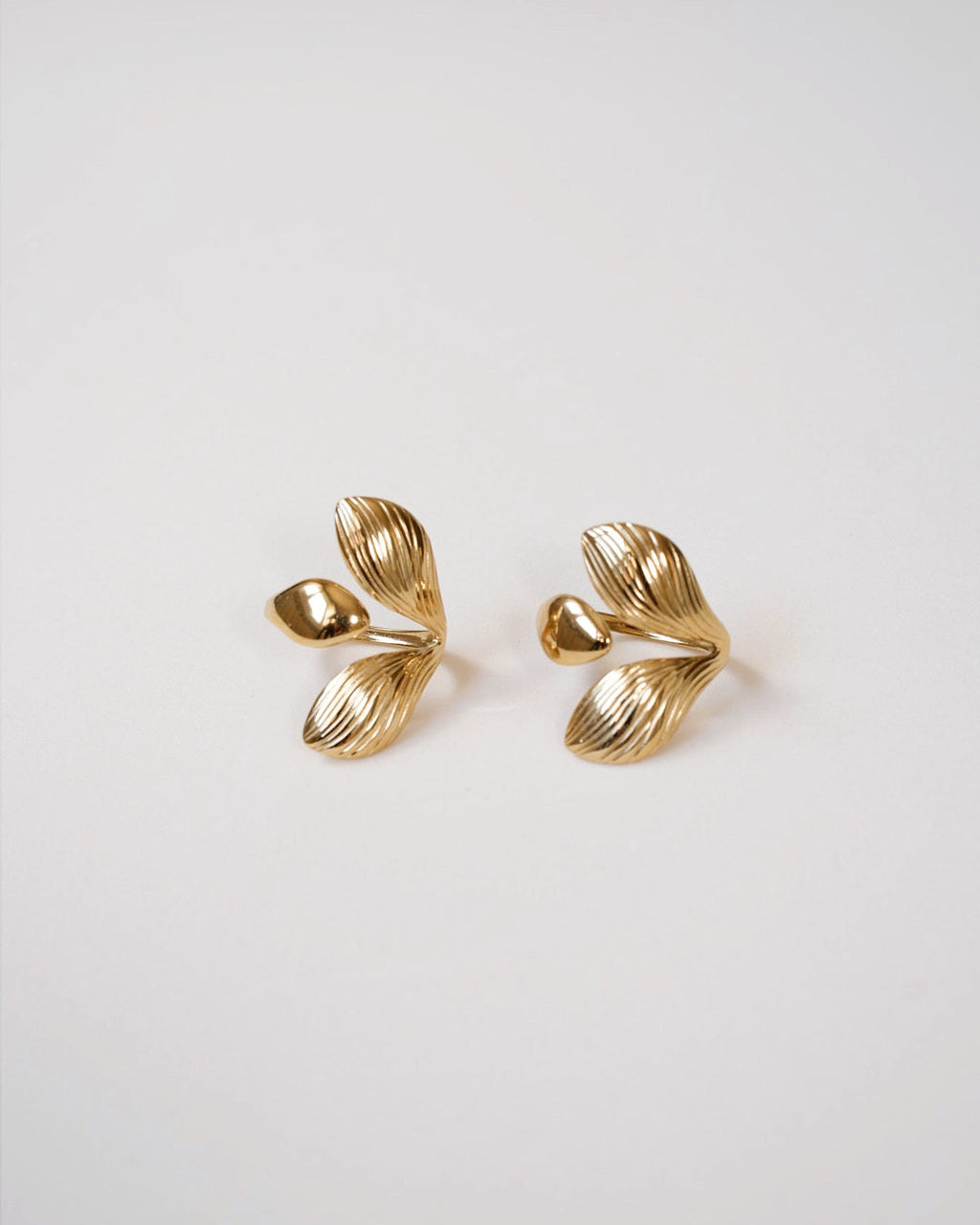 Anillo Élan