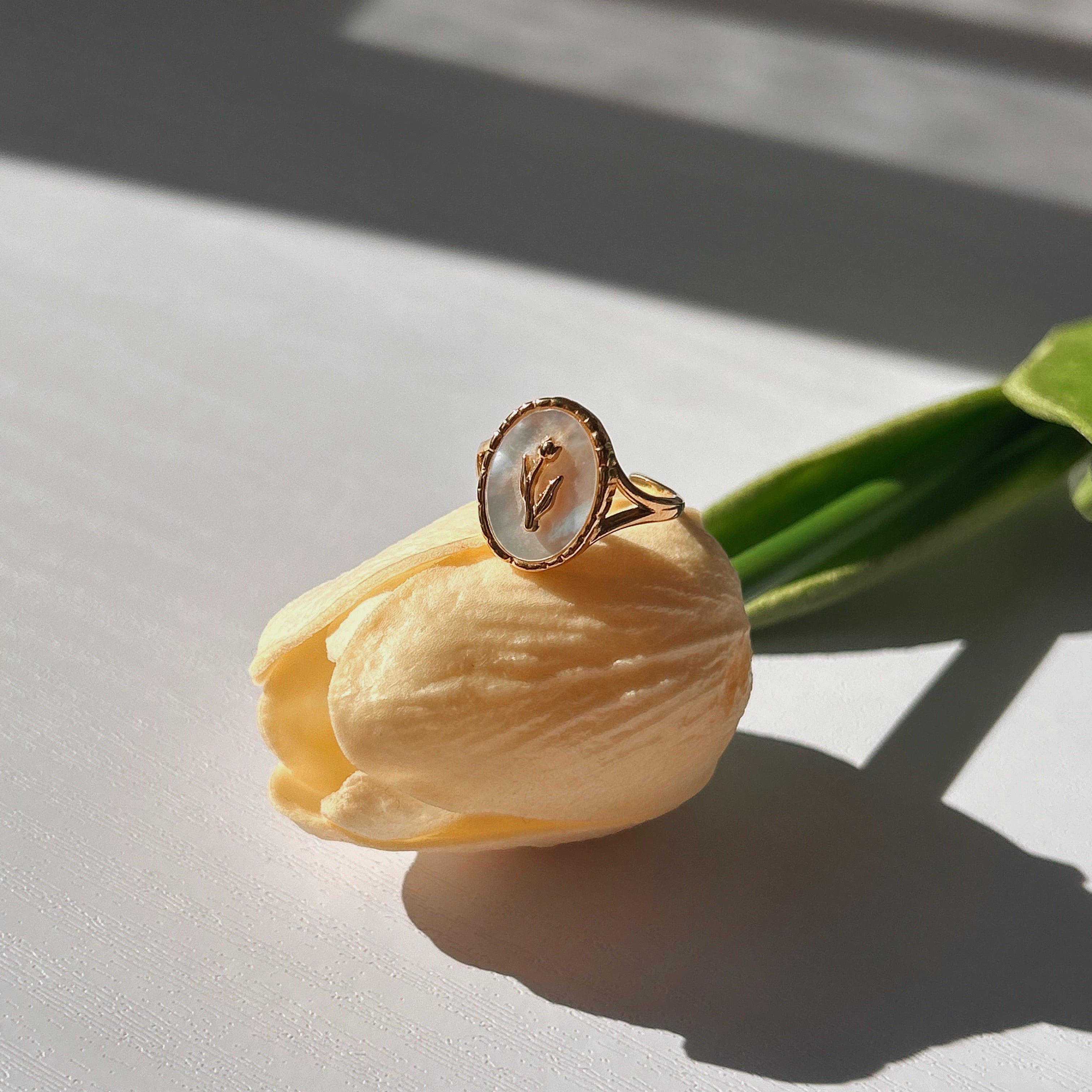 FLOR DE NÁCAR