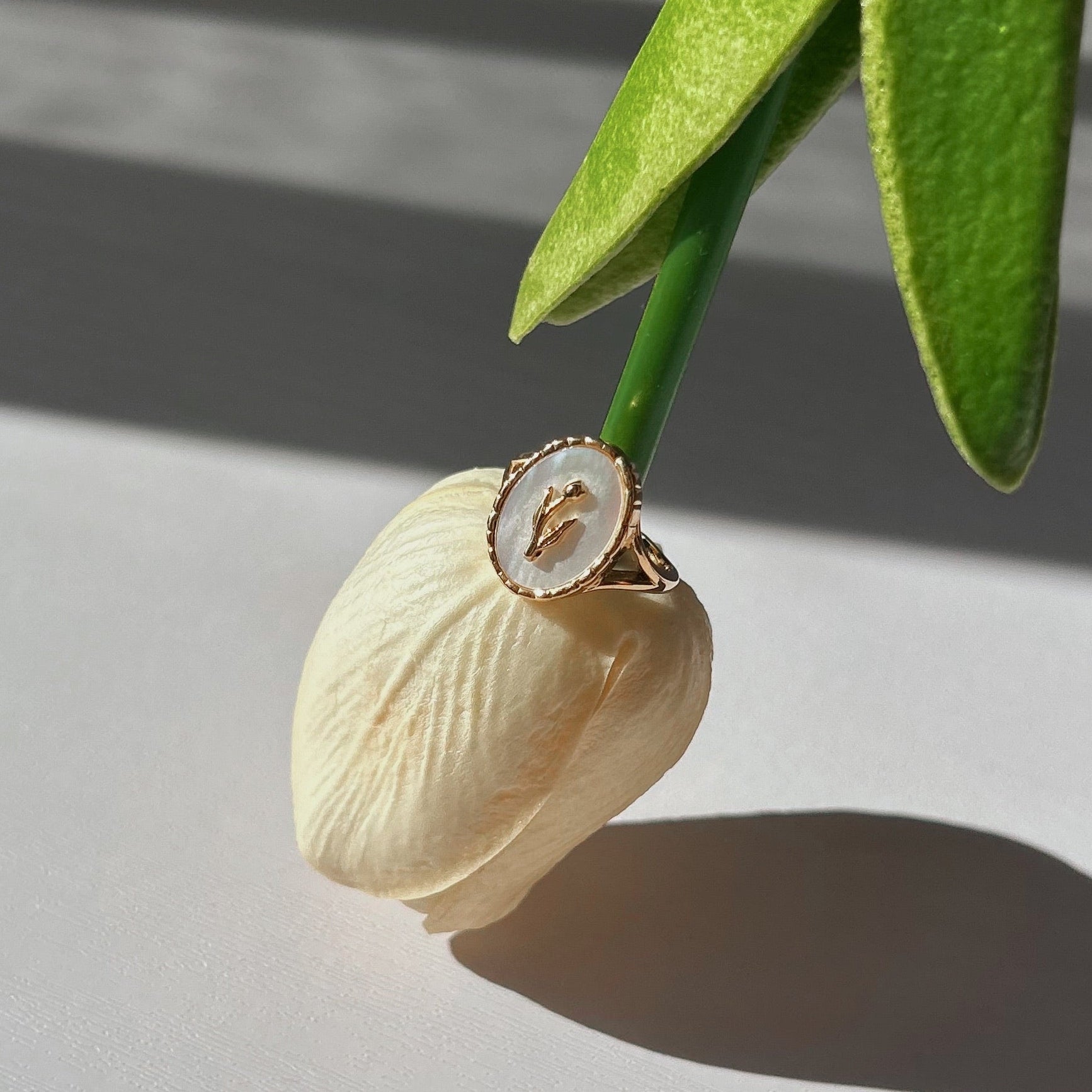 FLOR DE NÁCAR