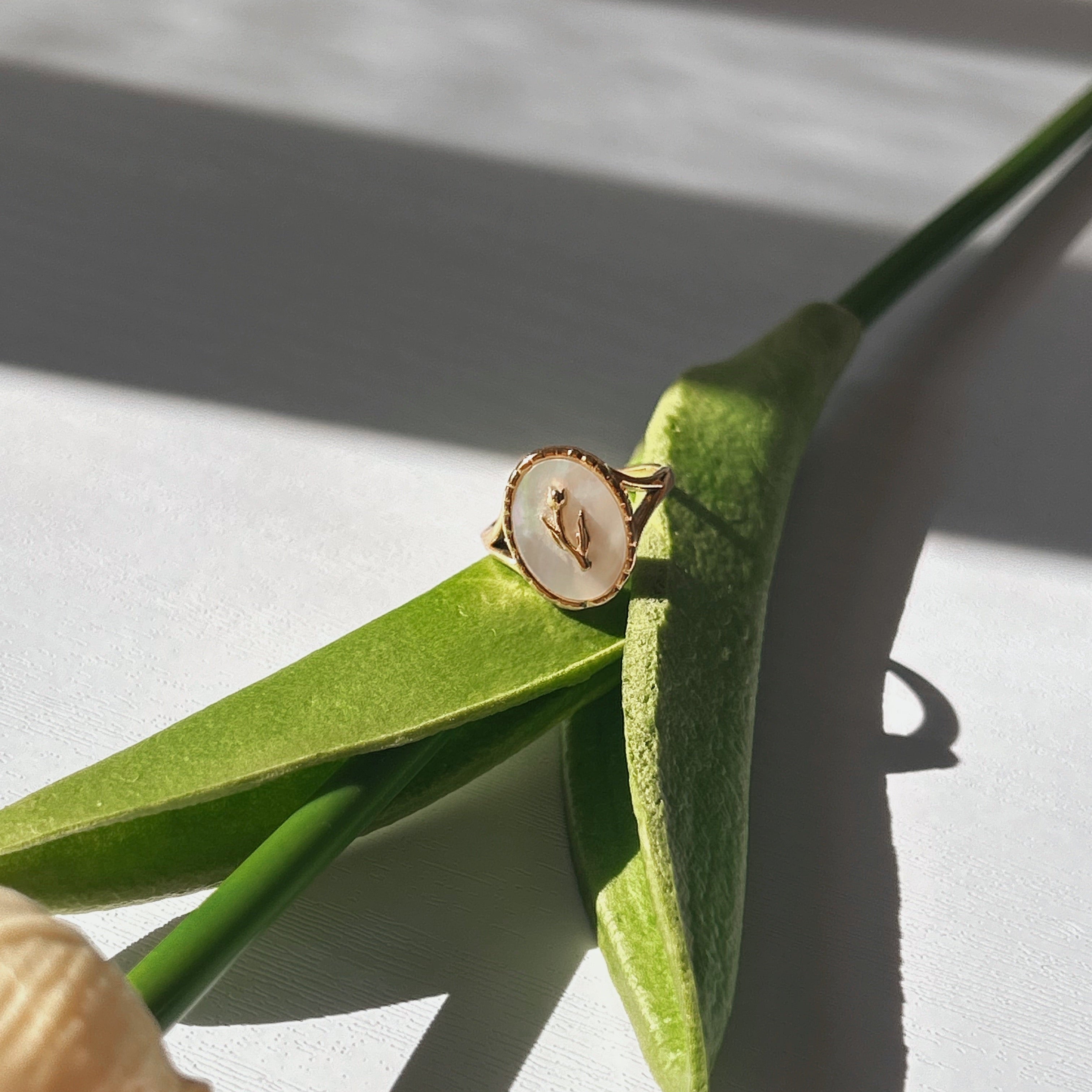 FLOR DE NÁCAR